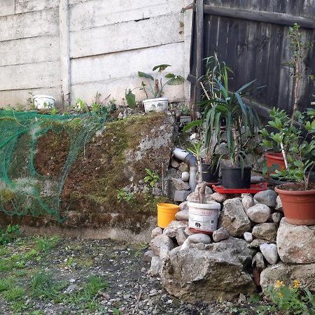 Casa Adrian Camere Centru Vechi บราชอฟ ภายนอก รูปภาพ