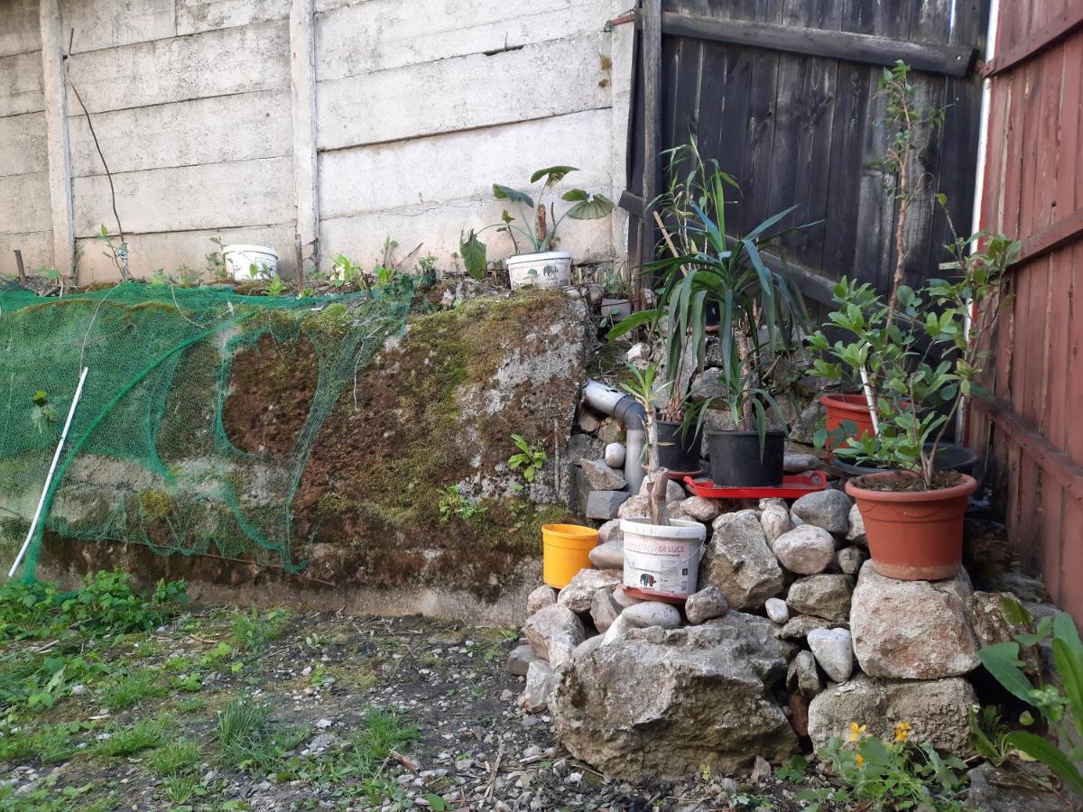 Casa Adrian Camere Centru Vechi บราชอฟ ภายนอก รูปภาพ